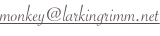 shapeimage_1_link_0